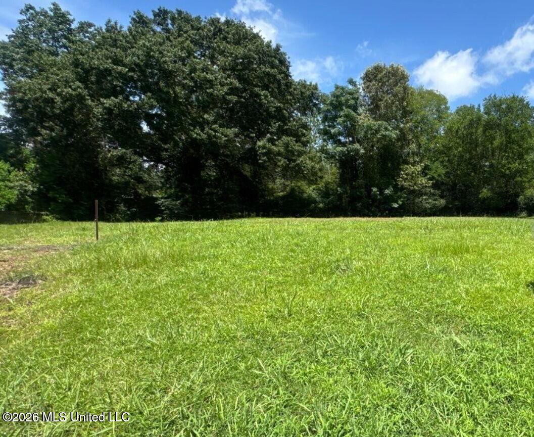 373 Red Eagle Circle Ridgeland, MS 39157 - Photo 3 of 4 2