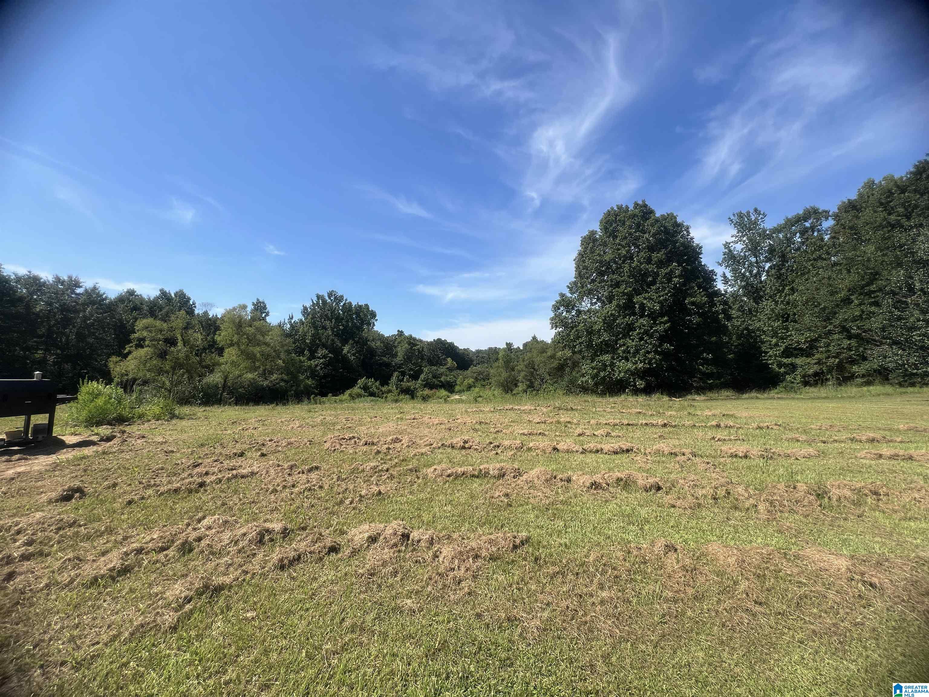 20585 Pleasant Grove Road Vance, AL 35490 - Photo 55 of 59