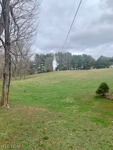 451 Rocky Point Road Fleming, OH 45729 - Photo 6 of 33 Beautiful land! Property goes to pine tree line.