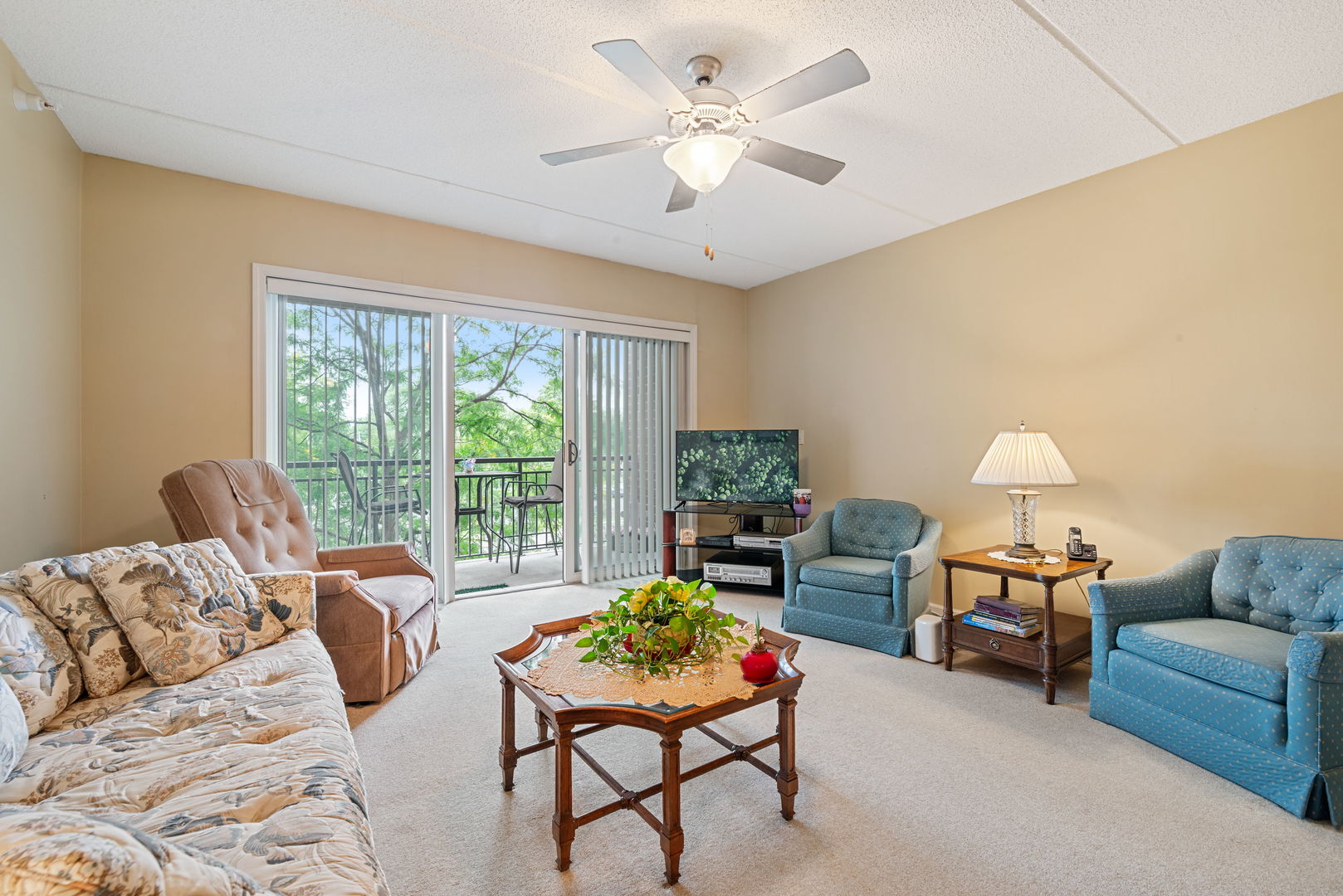 225 Main Street, Unit 201 Roselle, IL 60172 - Photo 9 of 21 a living room with furniture and a large window