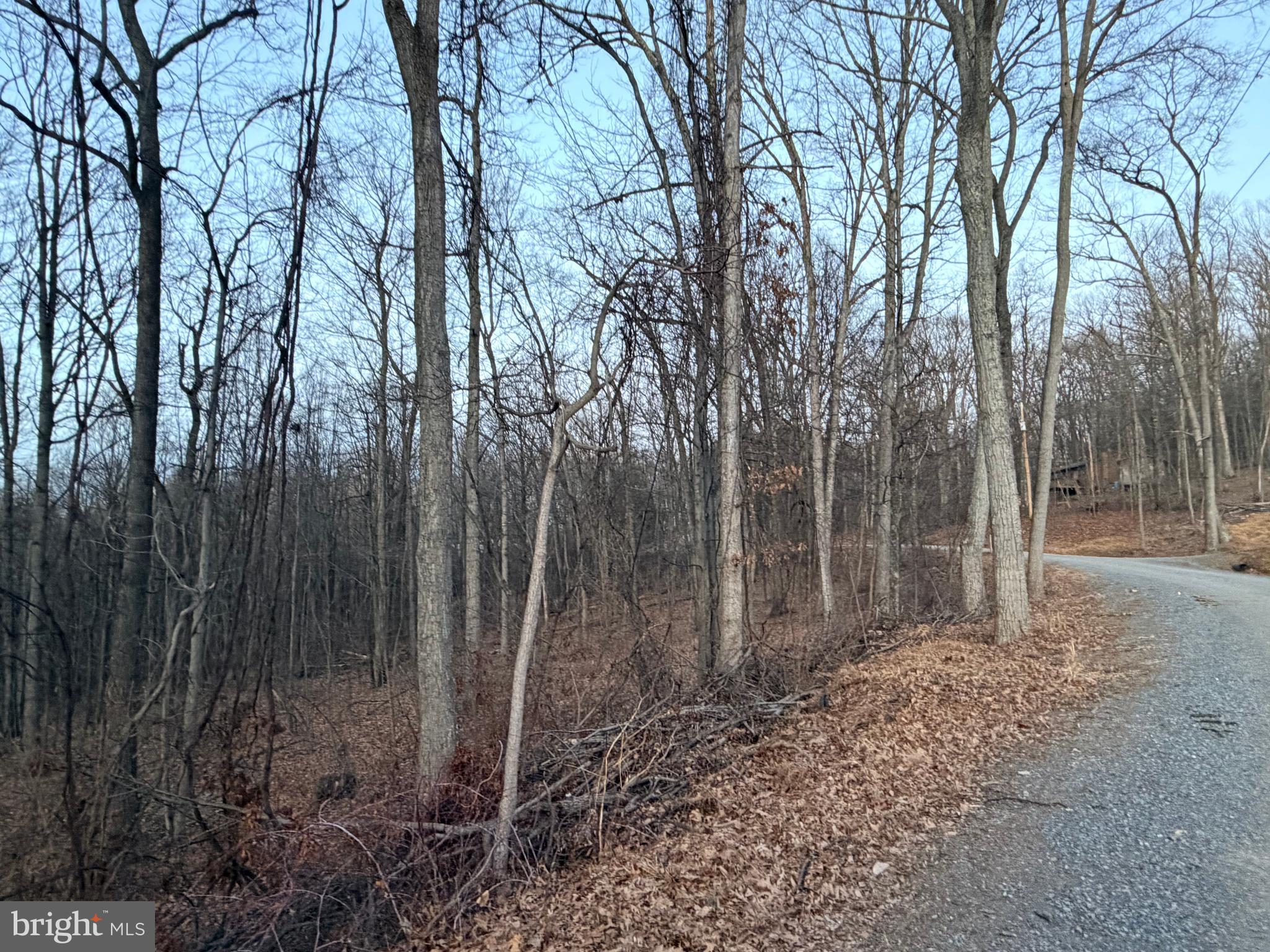 262 Jamie Road McConnellsburg, PA 17233 - Photo 35 of 36