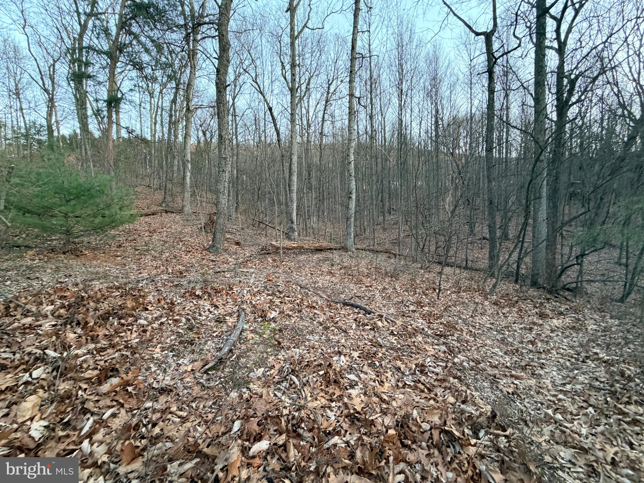 262 Jamie Road McConnellsburg, PA 17233 - Photo 5 of 36