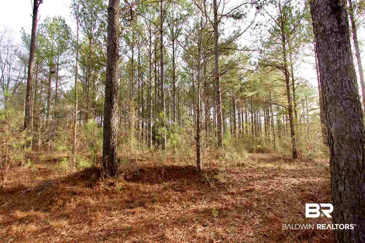 0 Sexton Brg Road Luverne, AL 36049 - Photo 26 of 50