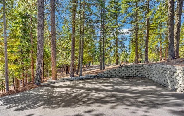a view of a yard with trees