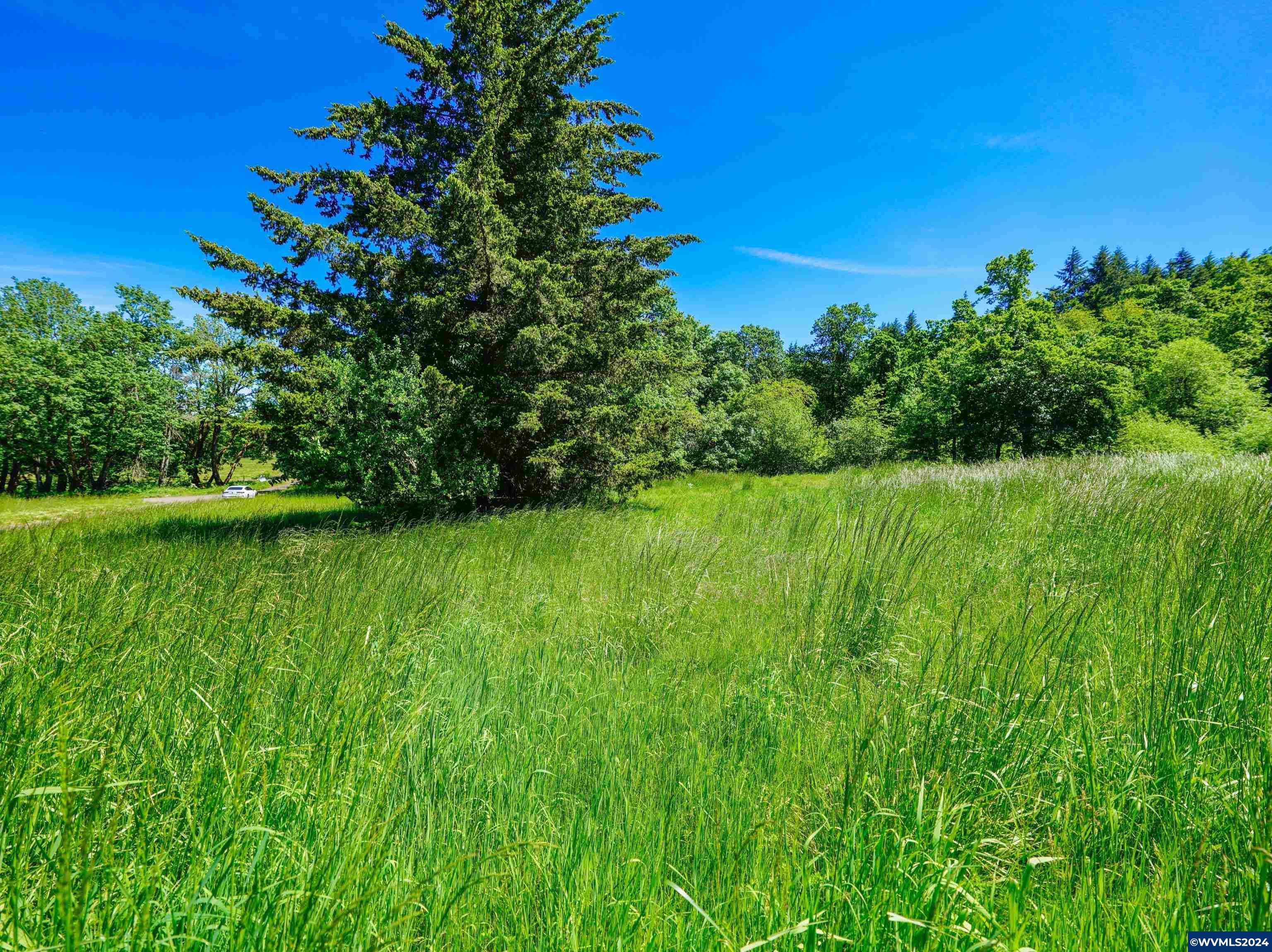 3656 View Top Lane Southeast Turner, OR 97392 - Photo 11 of 15
