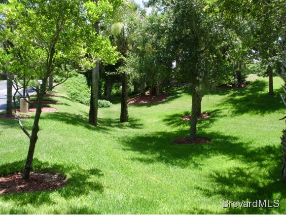 3901 Northeast Dixie, Unit 306 Palm Bay, FL 32905 - Photo 3 of 10 Additional Photo