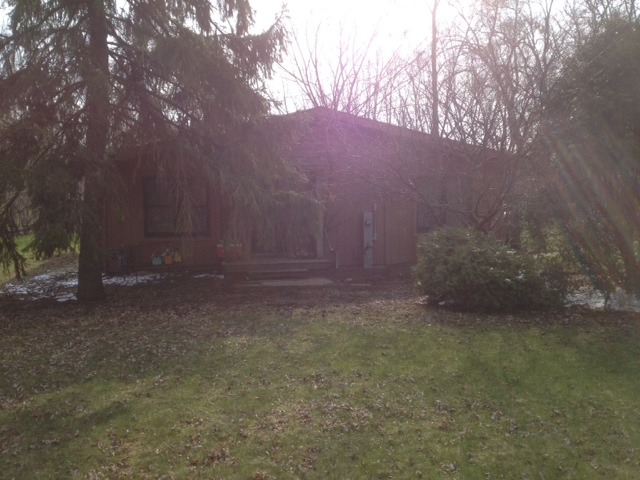 103 North Haman Road Inverness, IL 60010 - Photo 11 of 12 a view of backyard and tree