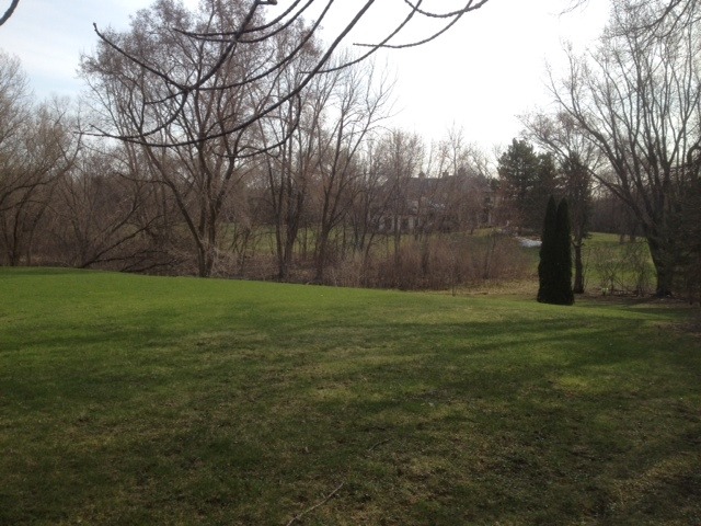 103 North Haman Road Inverness, IL 60010 - Photo 7 of 12 a backyard of a house with lots of green space