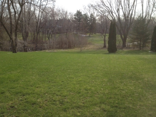 103 North Haman Road Inverness, IL 60010 - Photo 9 of 12 a view of a yard
