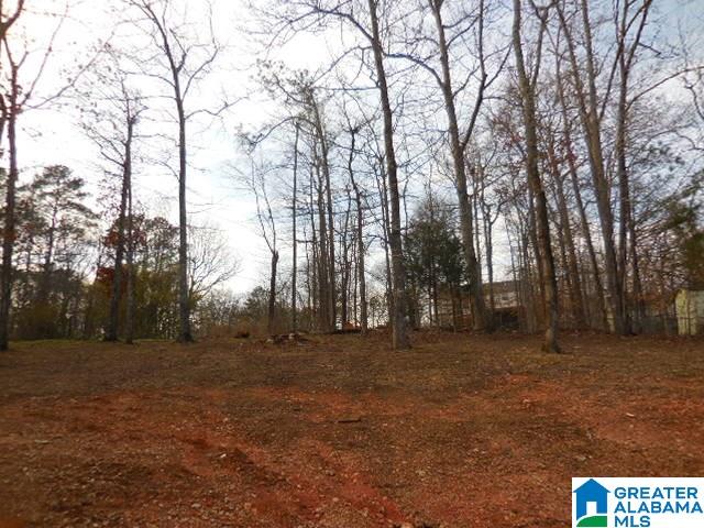 7060 Old Springville Road Pinson, AL 35126 - Photo 14 of 14