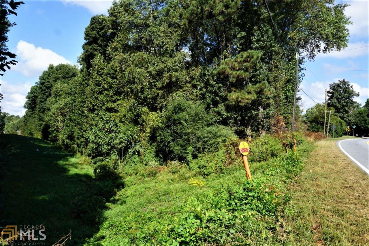 a view of a garden with plants