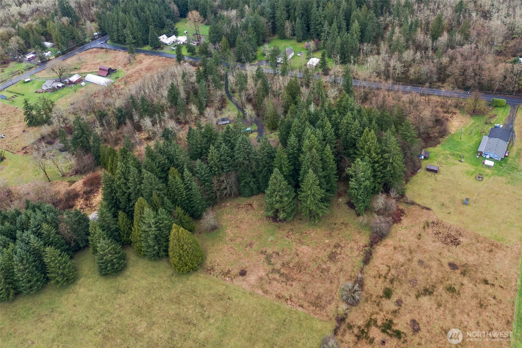 126 Burchett Road Onalaska, WA 98570 - Photo 32 of 36 a view of a yard with a tree