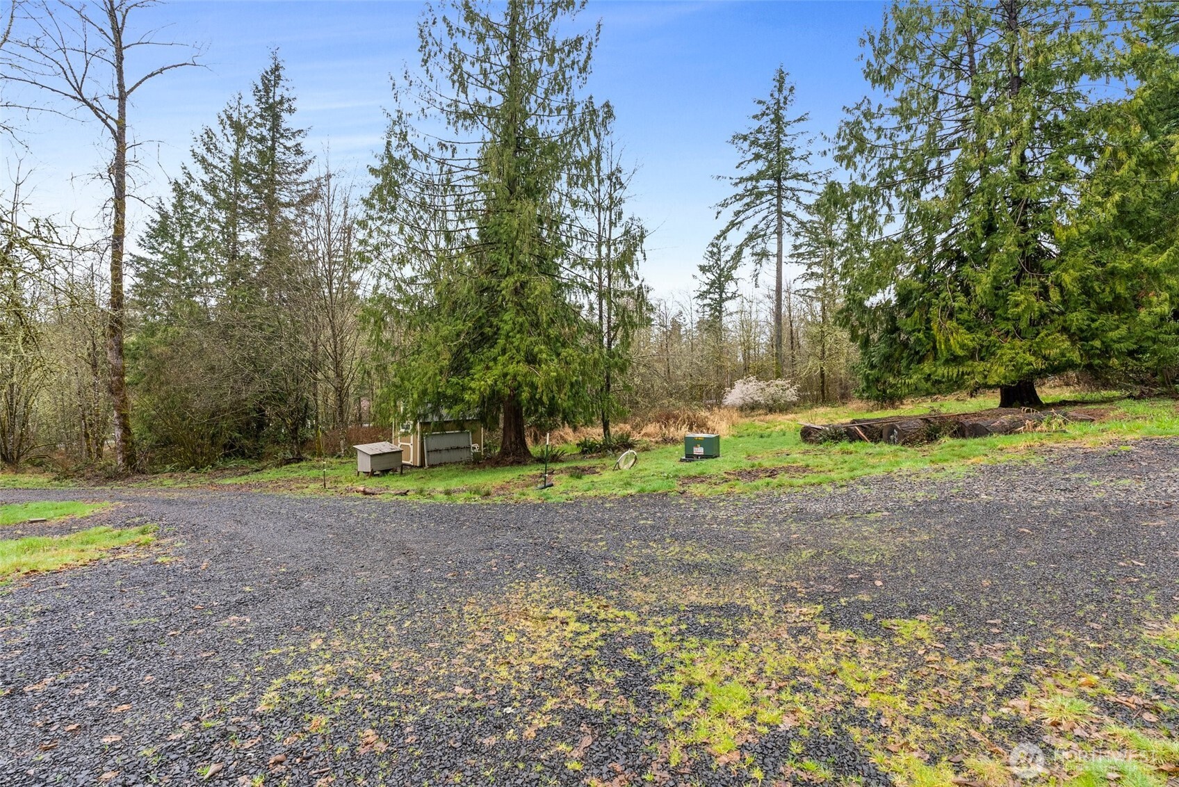 126 Burchett Road Onalaska, WA 98570 - Photo 33 of 36 a view of a yard with of trees
