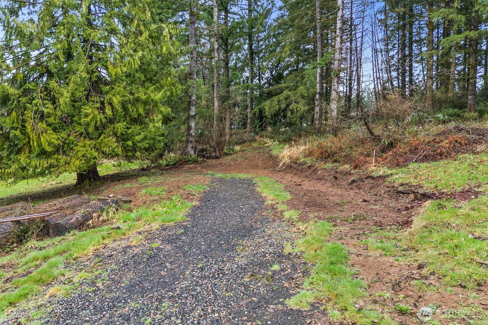 126 Burchett Road Onalaska, WA 98570 - Photo 34 of 36 a backyard of a house with lots of green space