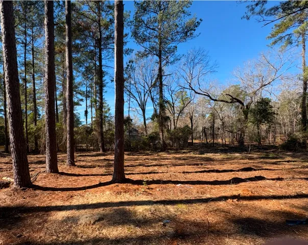 $60,000 | 1030 Deer Trail Road, Santee, SC 29142