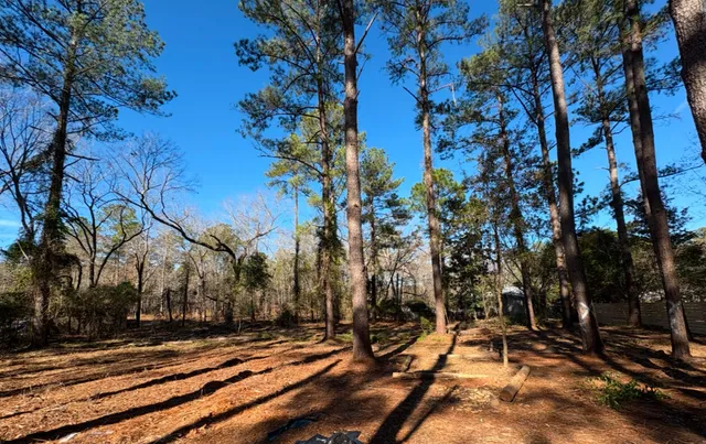 $60,000 | 1030 Deer Trail Road, Santee, SC 29142