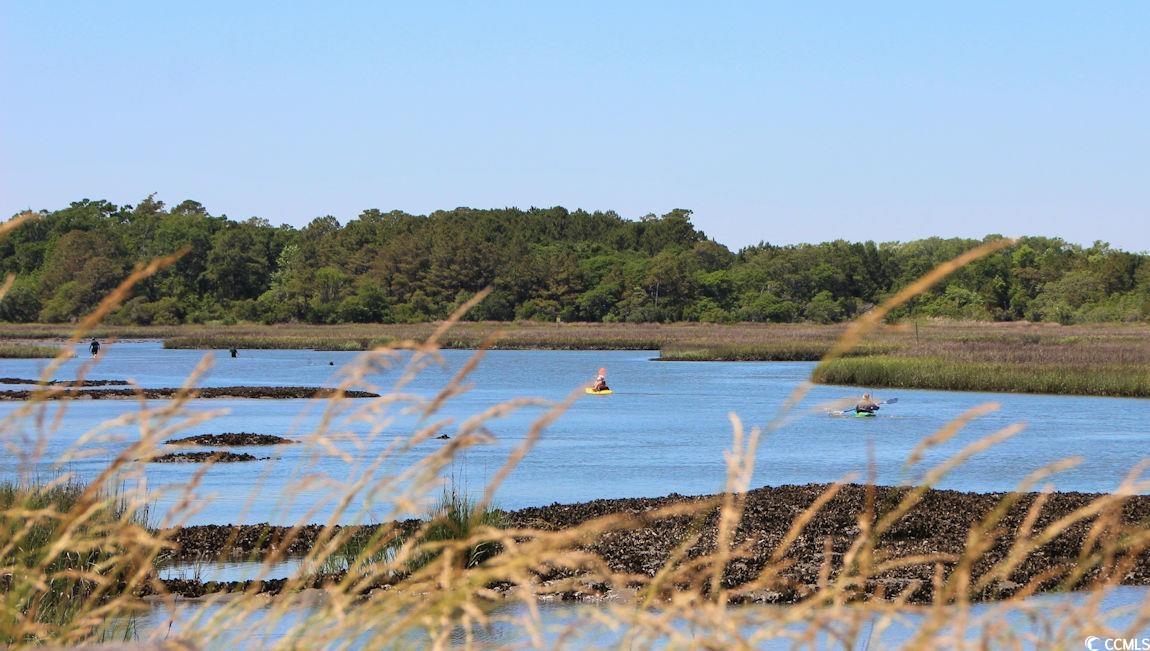 249 Ridley Street Longs, SC 29568 - Photo 33 of 33