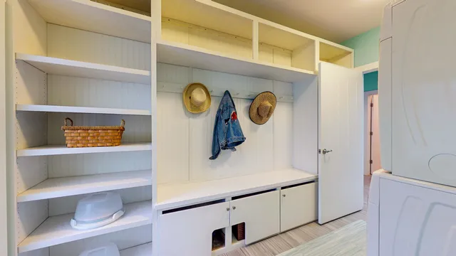 a view of a backyard with plants and palm trees