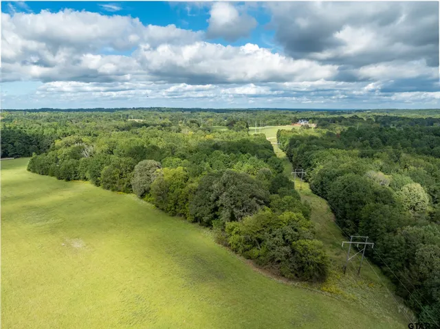 a view of a yard with an trees
