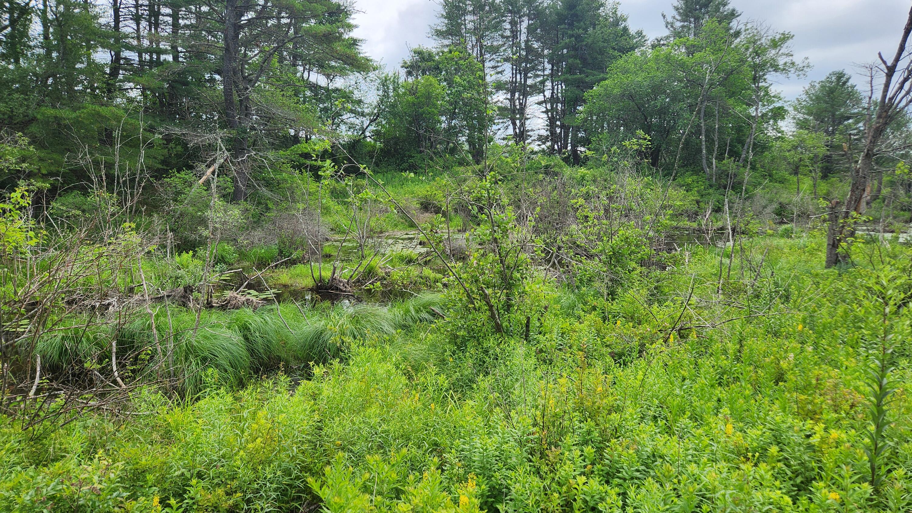 0 Dana Mill Road Woolwich, ME 04579 - Photo 11 of 26