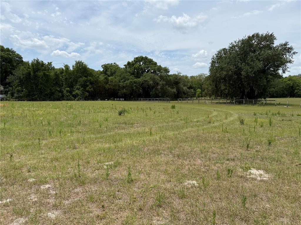 Southeast Sunset Harbor Road Weirsdale, FL 32195 - Photo 10 of 19