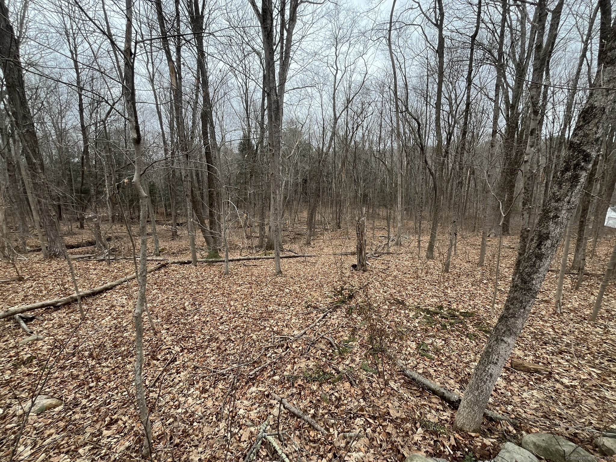 439 Washington Road Woodbury, CT 06798 - Photo 29 of 32