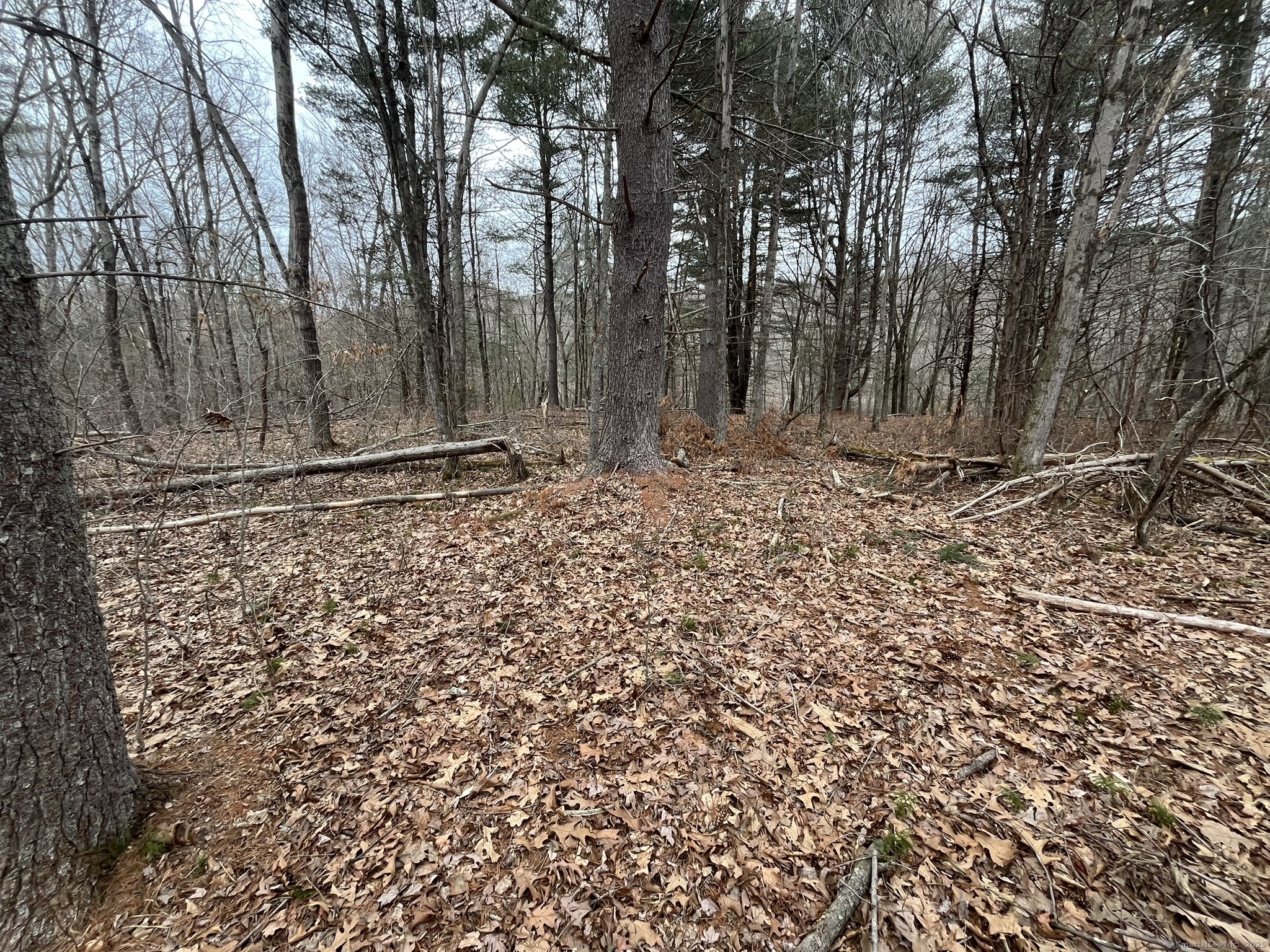 439 Washington Road Woodbury, CT 06798 - Photo 31 of 32