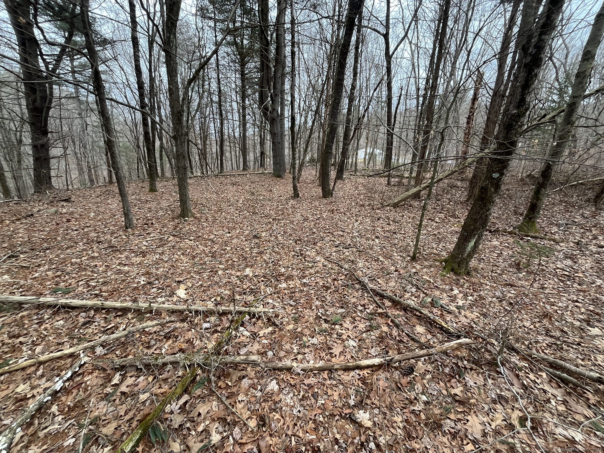 439 Washington Road Woodbury, CT 06798 - Photo 32 of 32