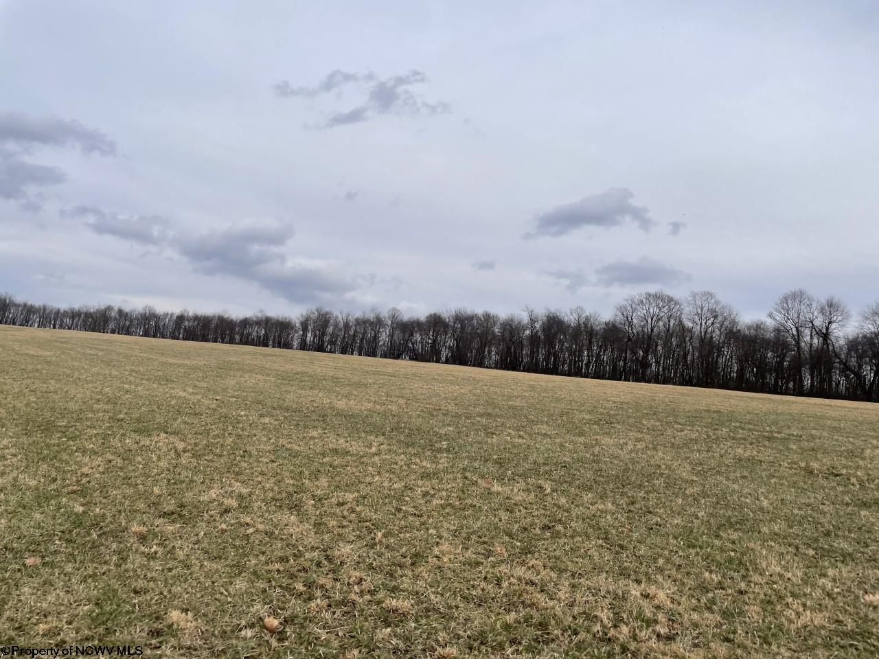 3229 B Coal Lick Road Albright, WV 26519 - Photo 4 of 7 Gallery Image 4
