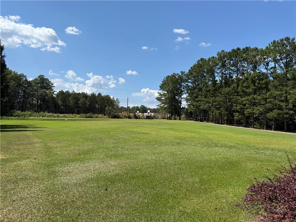 435 South Unity Grove Road Locust Grove, GA 30248 - Photo 4 of 19 Gallery Image 4