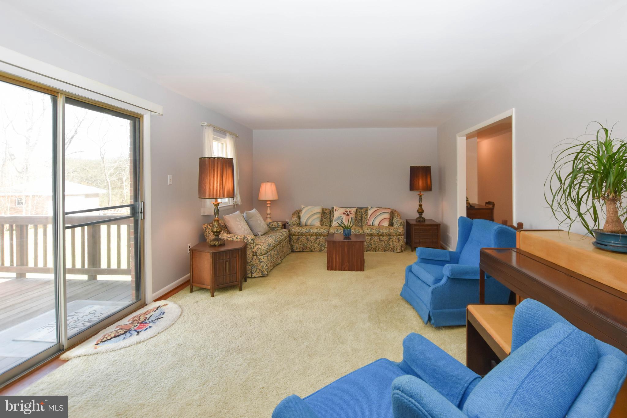 19141 Youngs Cliff Road Sterling, VA 20165 - Photo 12 of 40 Living Room