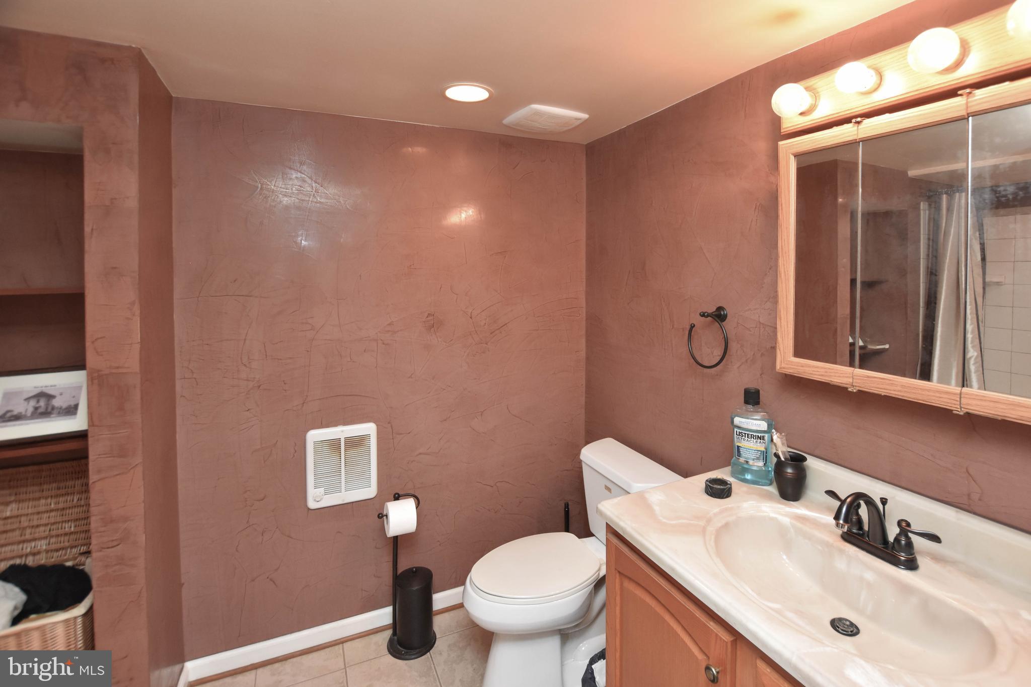 19141 Youngs Cliff Road Sterling, VA 20165 - Photo 38 of 40 Basement Bathroom