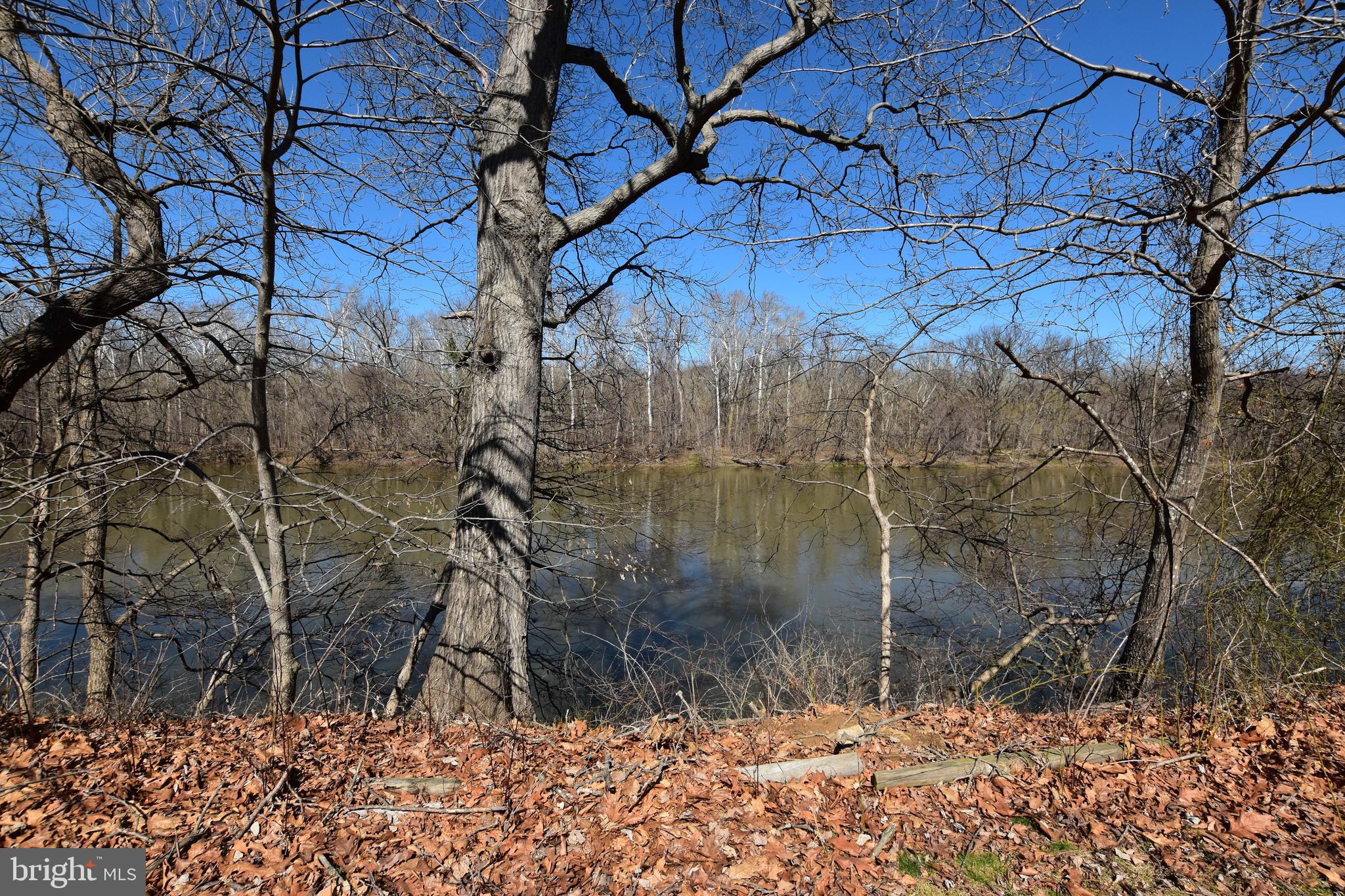19141 Youngs Cliff Road Sterling, VA 20165 - Photo 5 of 40 River View
