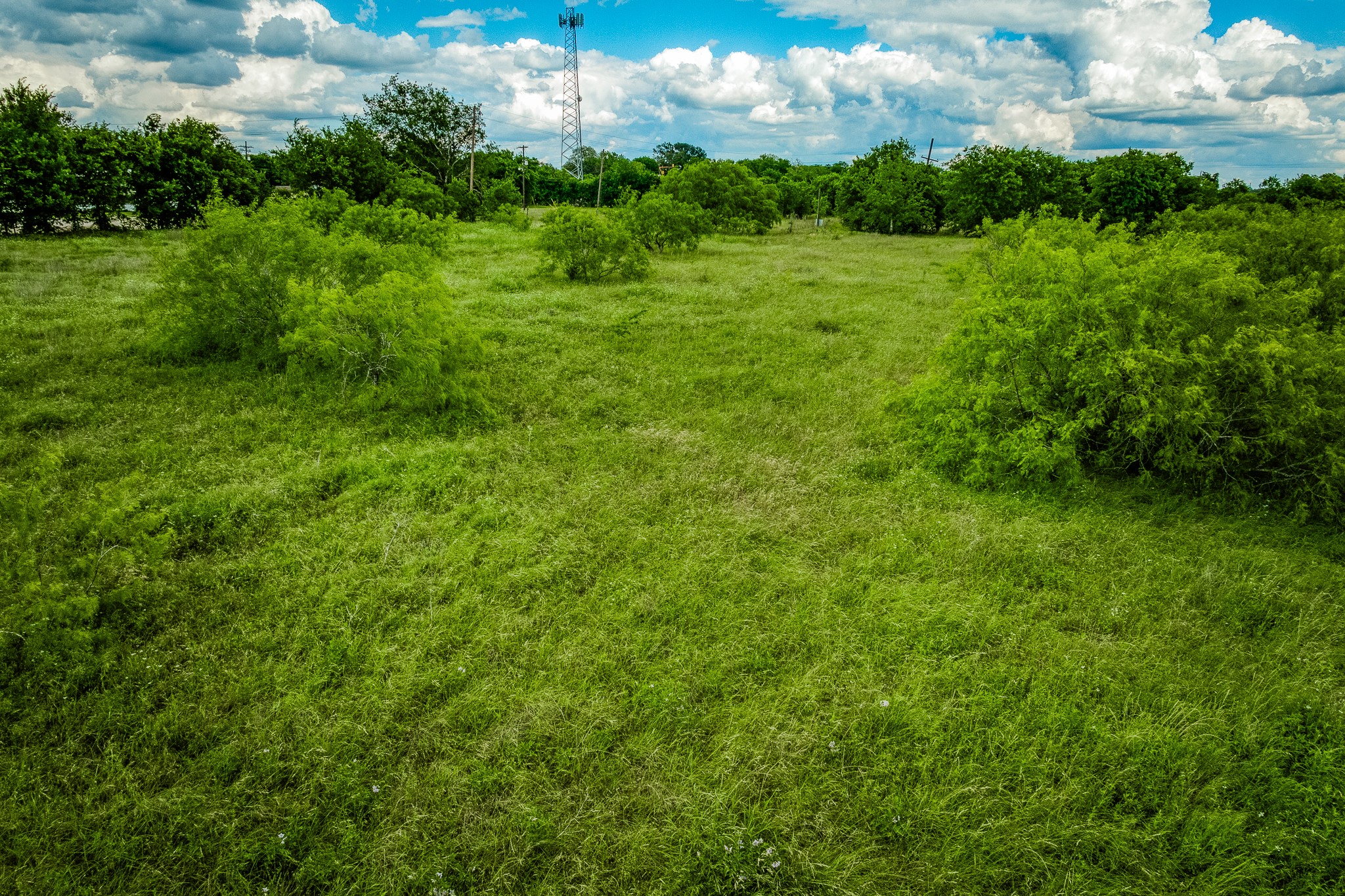 Tbd North Oneal Street Caldwell, TX 77836 - Photo 26 of 26