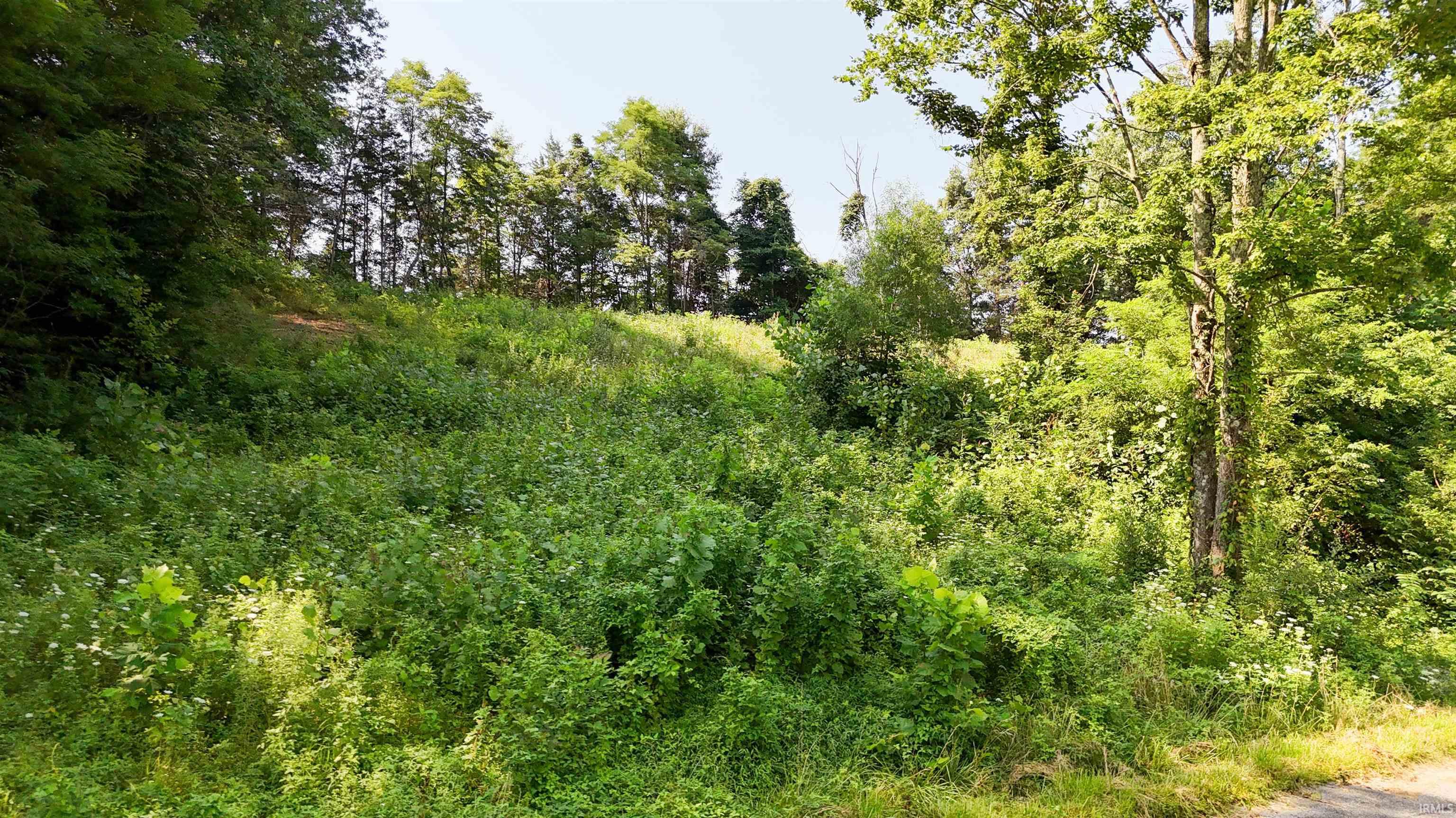 East Apache Trail North Vernon, IN 47265 - Photo 5 of 11