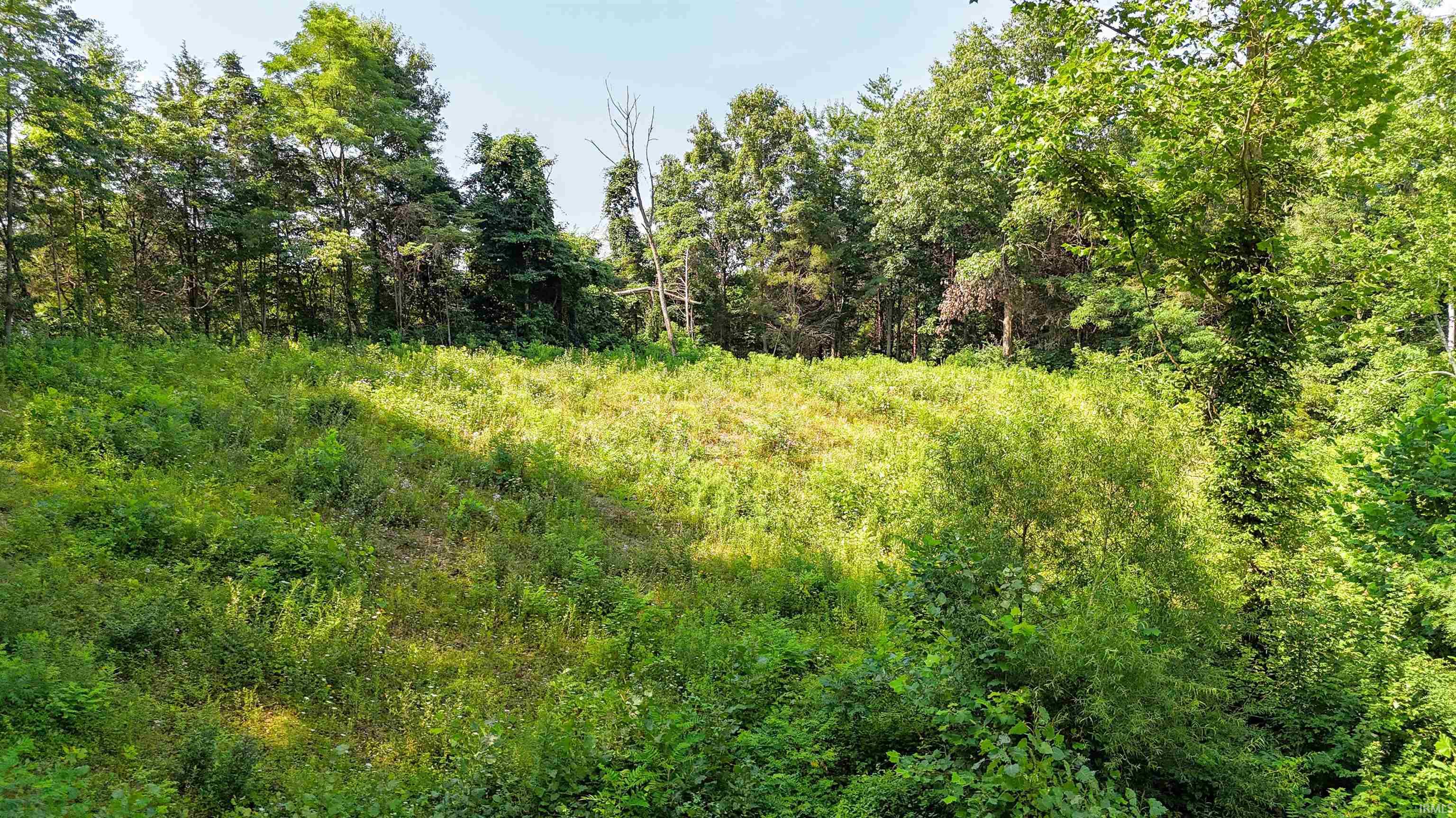 East Apache Trail North Vernon, IN 47265 - Photo 7 of 11