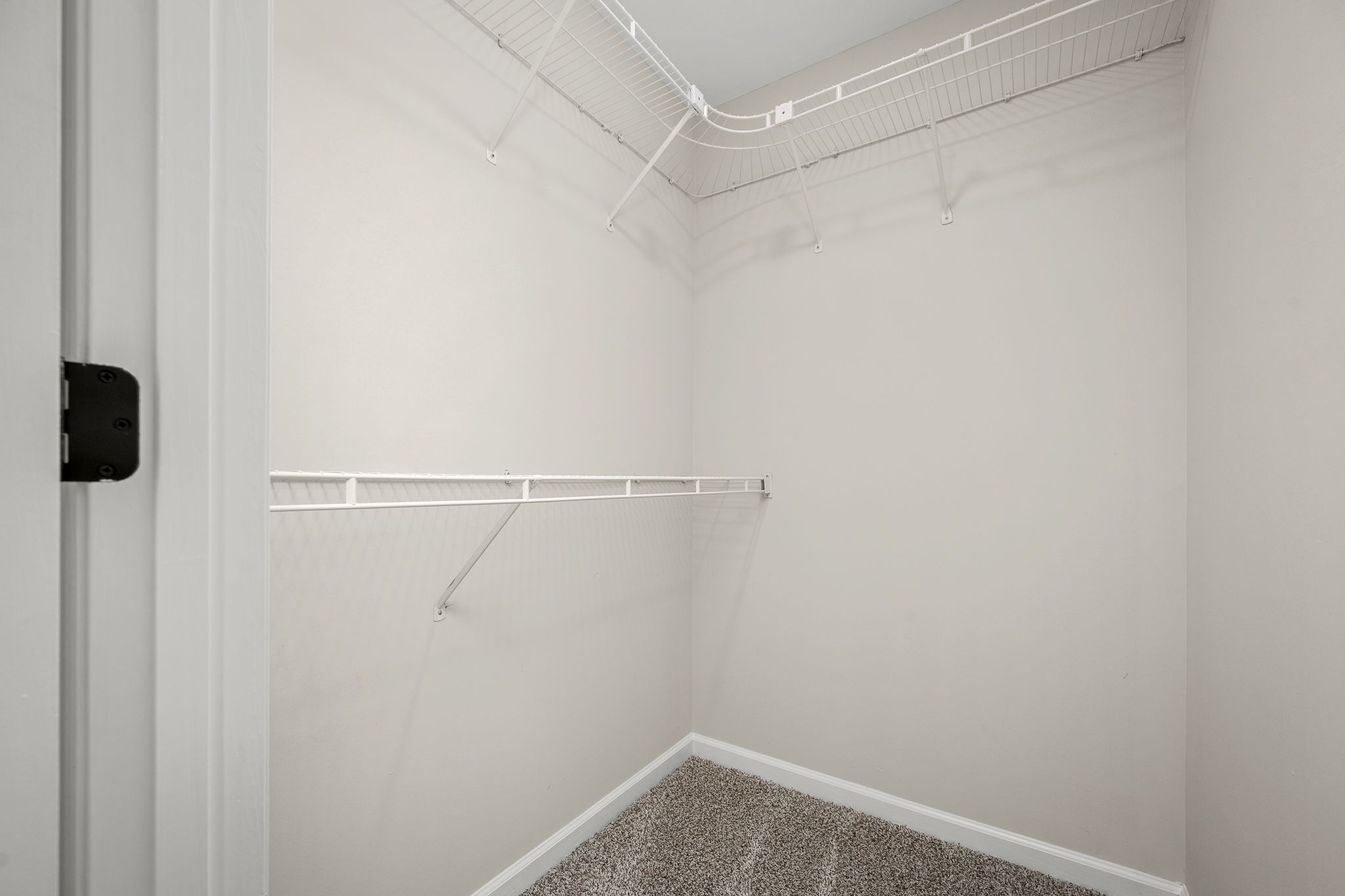 2923 Regenwood Drive Murfreesboro, TN 37129 - Photo 21 of 34 a view of a room with racks on the wall