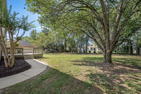 a view of a backyard with tree