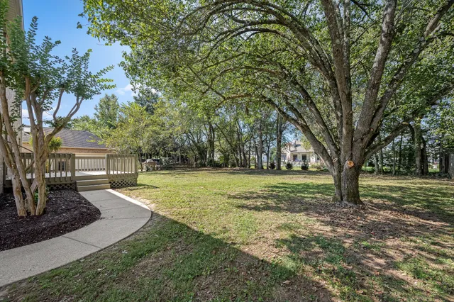 a view of a backyard with tree