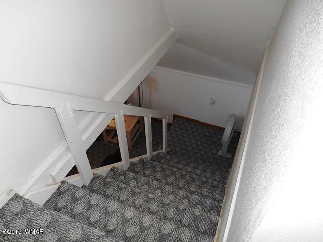 3377 Rim Lakes Drive Overgaard, AZ 85933 - Photo 54 of 59