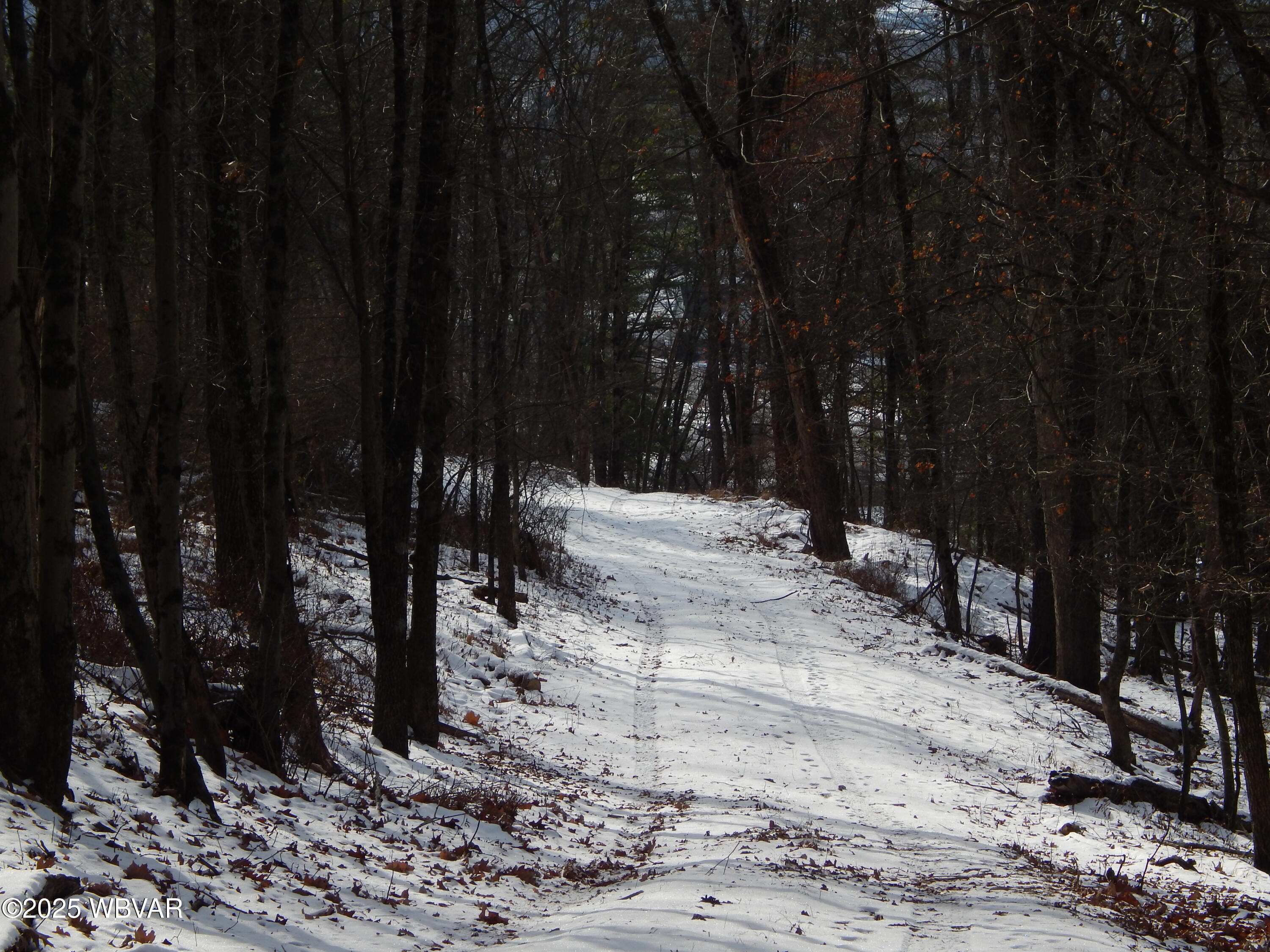 2110 Northway Road, Unit LOT 3 Williamsport, PA 17701 - Photo 5 of 8 Road to the top