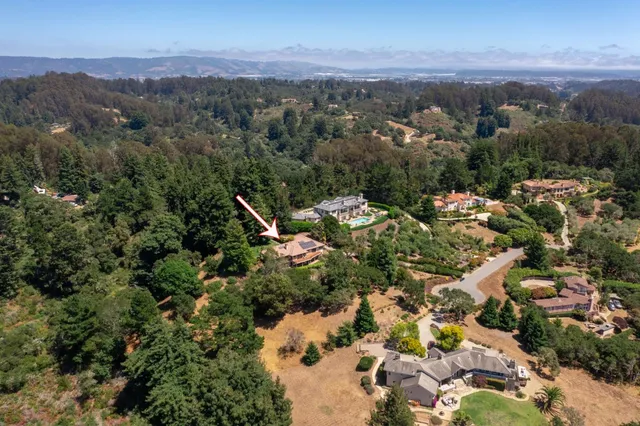 a view of a tree in the middle of a yard