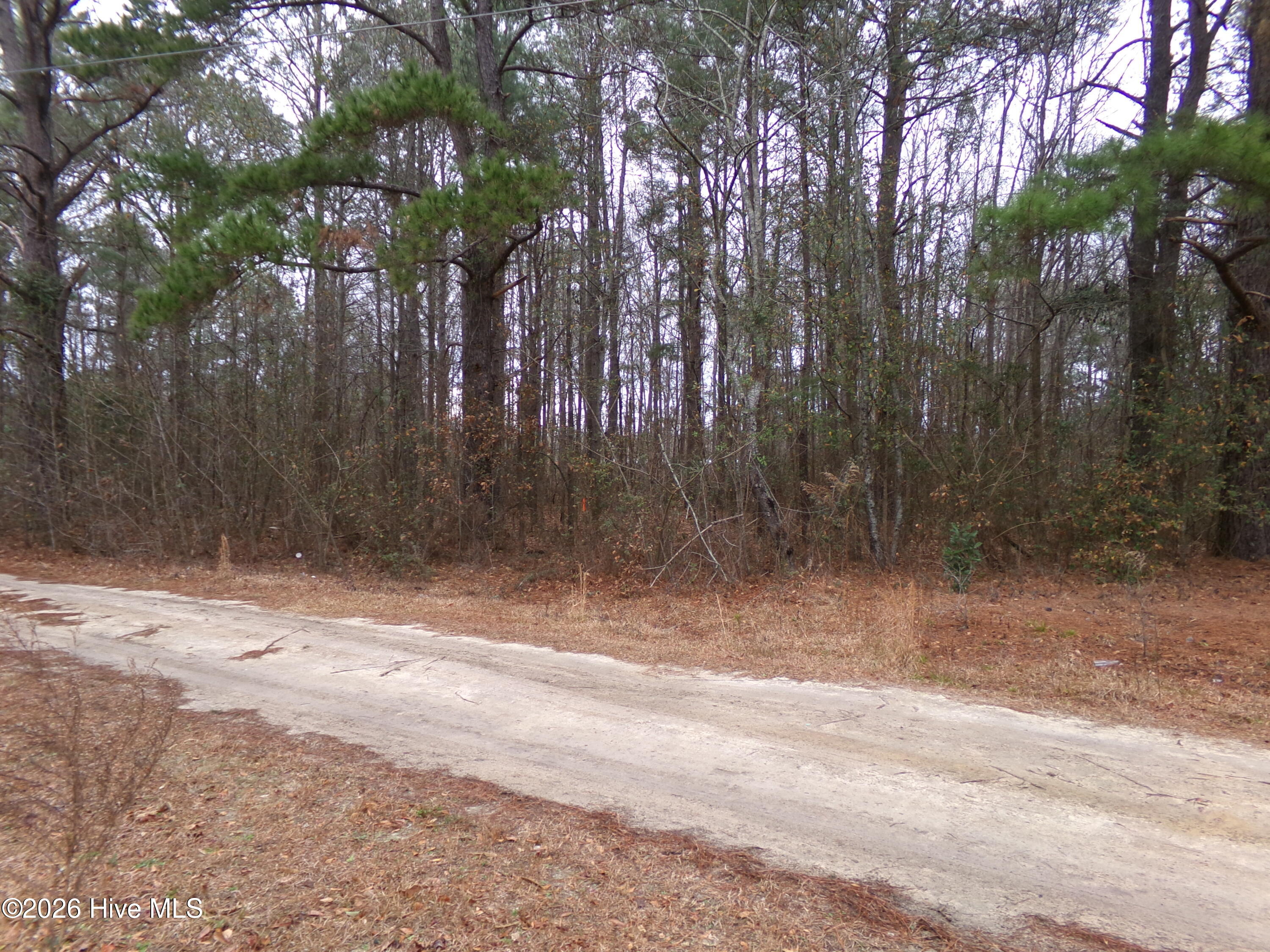 Lot 16 Straightway Road Fairmont, NC 28340 - Photo 2 of 3 139_1053