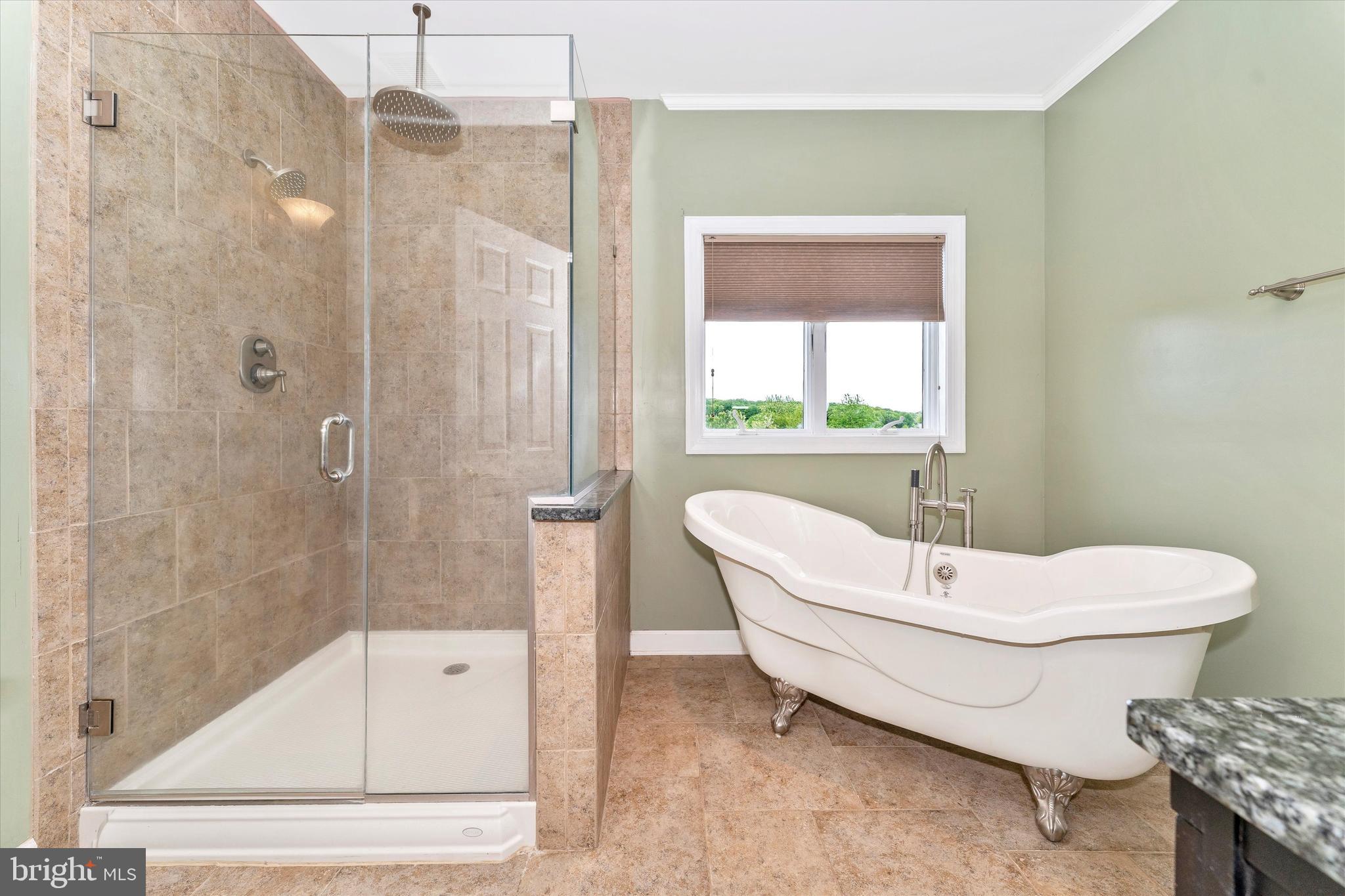 12473 Jesse Smith Road Mount Airy, MD 21771 - Photo 17 of 47 Main Level Owners Bath