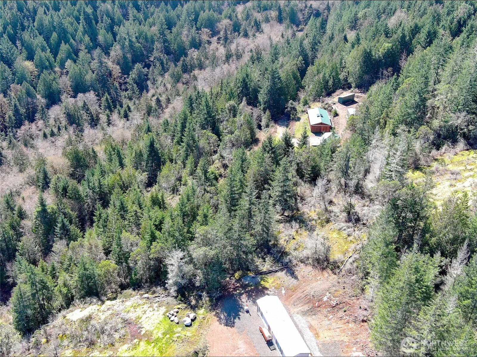 59 X Moose Mountain Road Brinnon, WA 98320 - Photo 11 of 24