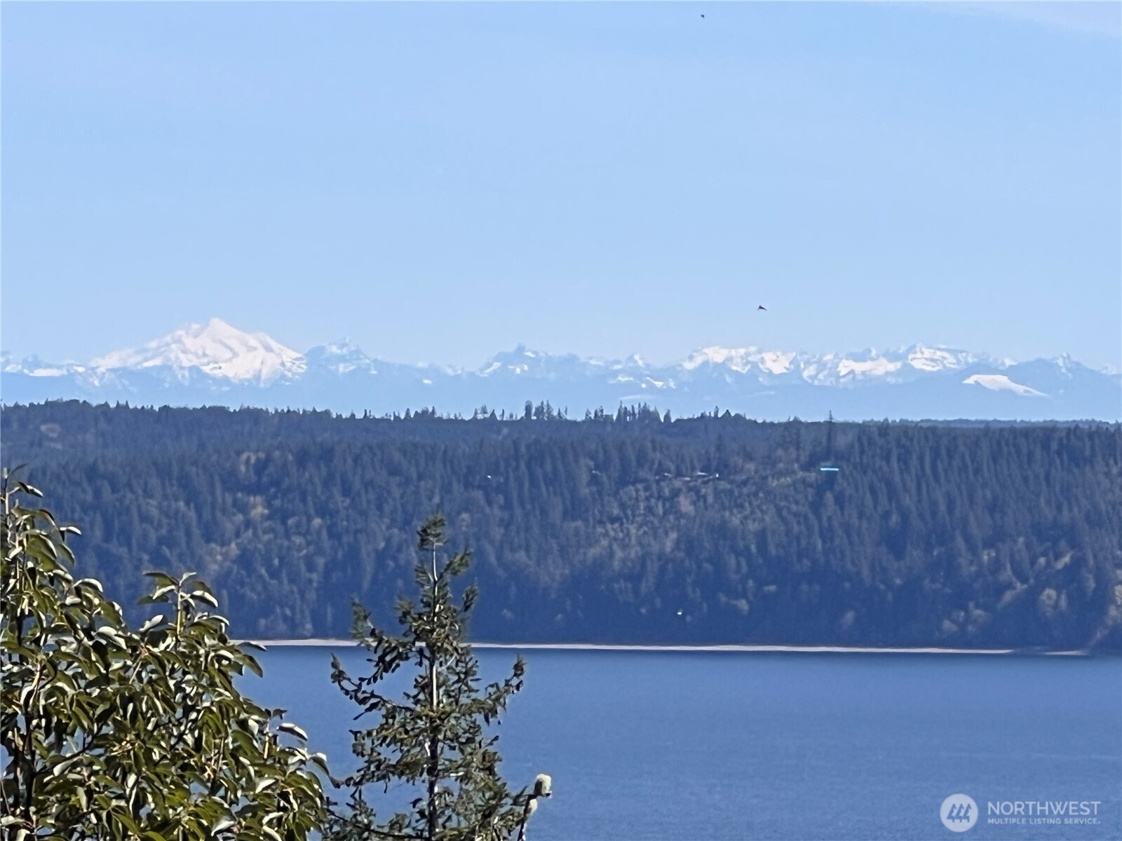 59 X Moose Mountain Road Brinnon, WA 98320 - Photo 12 of 24