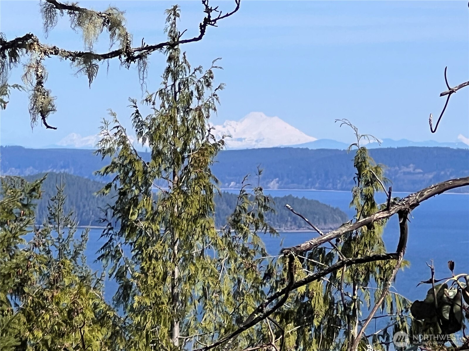 59 X Moose Mountain Road Brinnon, WA 98320 - Photo 13 of 24