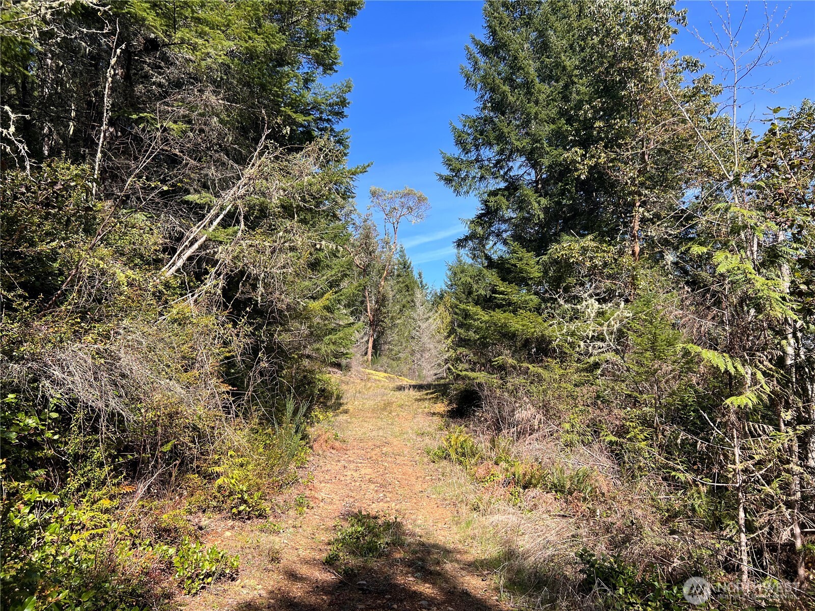 59 X Moose Mountain Road Brinnon, WA 98320 - Photo 18 of 24