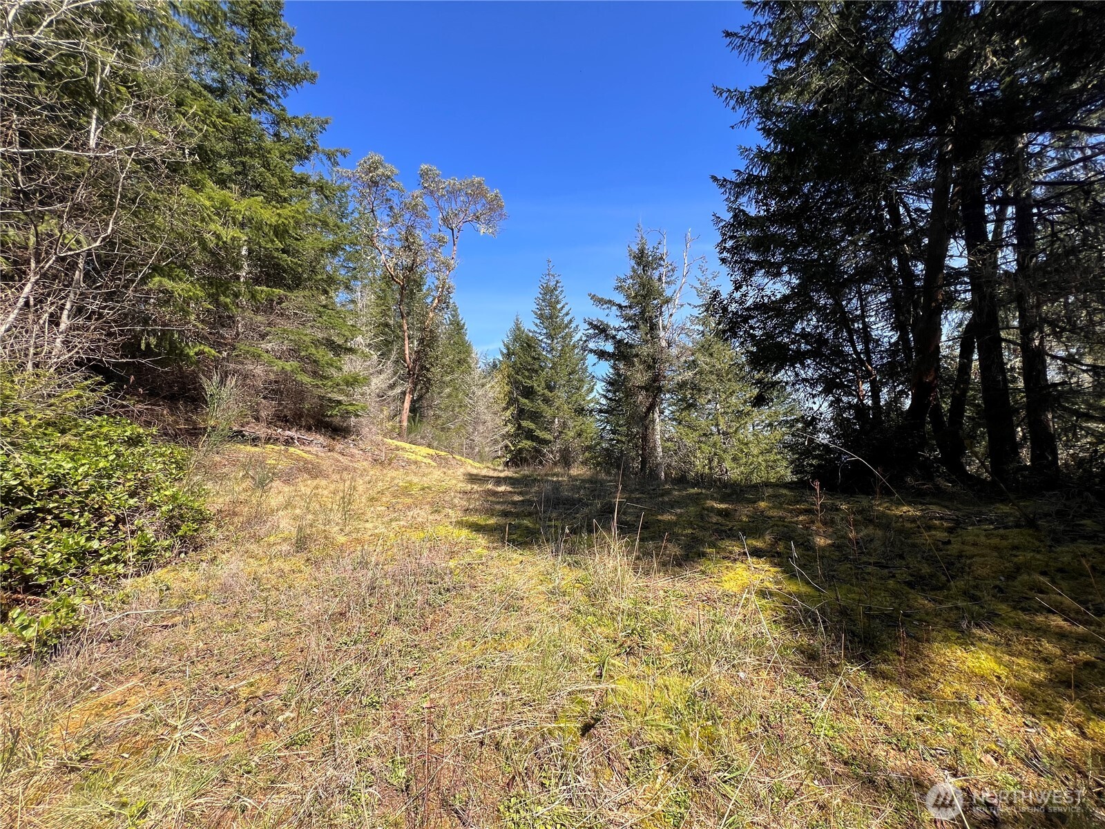 59 X Moose Mountain Road Brinnon, WA 98320 - Photo 19 of 24