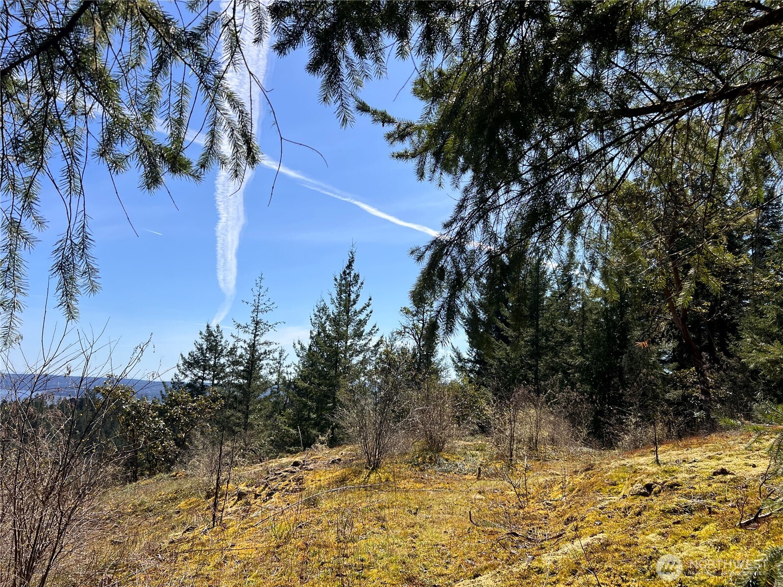 59 X Moose Mountain Road Brinnon, WA 98320 - Photo 20 of 24